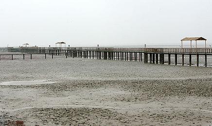 《马拉松》上月迎来新创意总监 项目风波不断